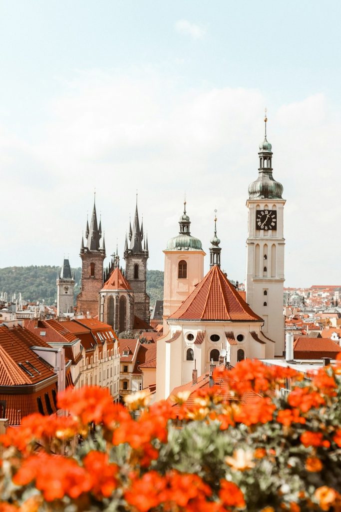 Vue panoramique de Prague avec des fleurs rouges au premier plan, mettant en valeur l’architecture historique de la ville.